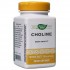Холин, Nature's Way, 500 мг, 100 таблеток, , NWY-40460, Nature's way, Витамин В4 (Холин)